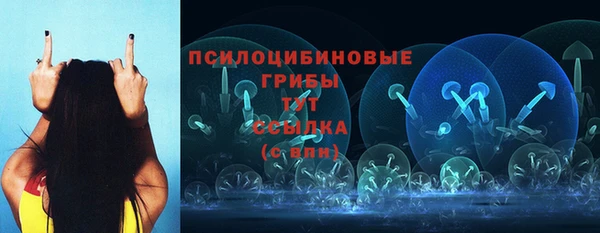 ПСИЛОЦИБИНОВЫЕ ГРИБЫ Белоозёрский