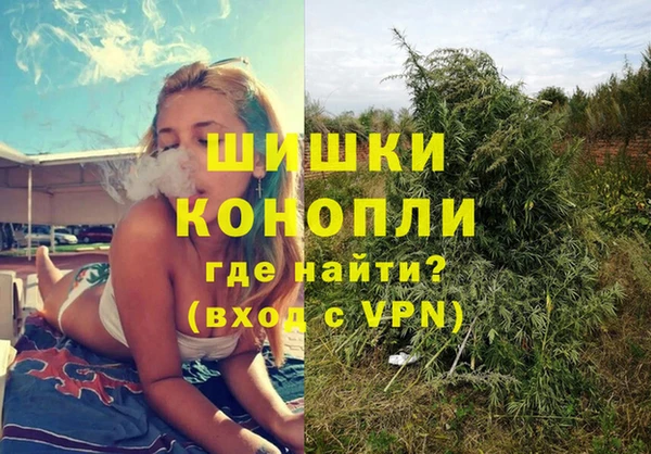 молекула духа Белокуриха