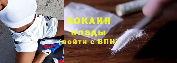 молекула духа Белокуриха