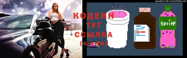 молекула духа Белокуриха
