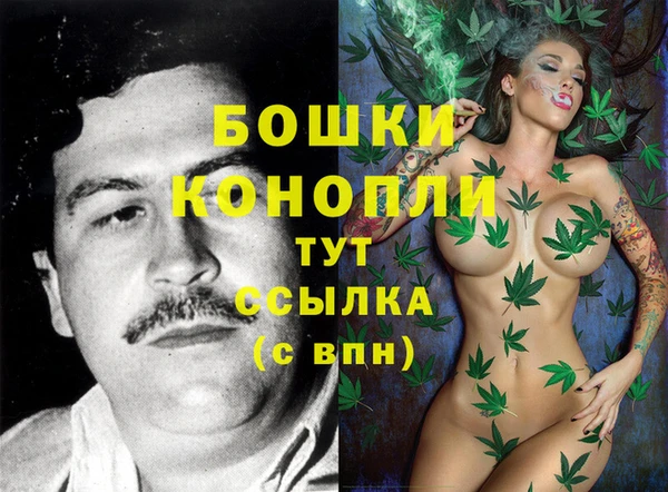 молекула духа Белокуриха