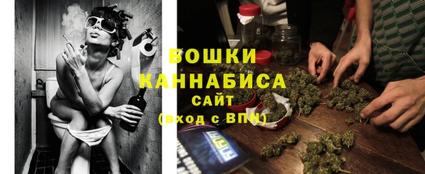 ПСИЛОЦИБИНОВЫЕ ГРИБЫ Белоозёрский
