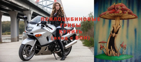 ПСИЛОЦИБИНОВЫЕ ГРИБЫ Белоозёрский