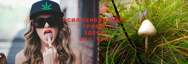 ПСИЛОЦИБИНОВЫЕ ГРИБЫ Белоозёрский