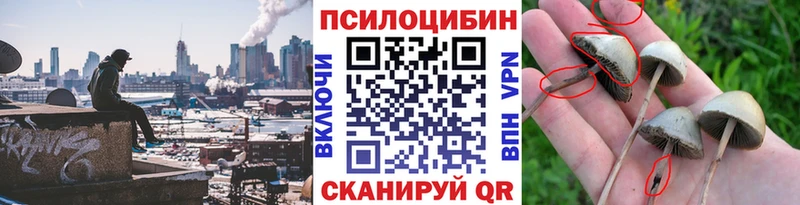 Псилоцибиновые грибы мицелий  Сланцы 