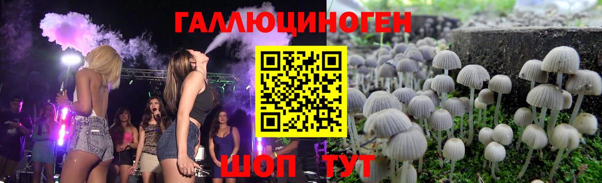Сланцы  Псилоцибиновые грибы Psilocybe  Вход с VPN  Псилоцибиновые грибы мухоморы 