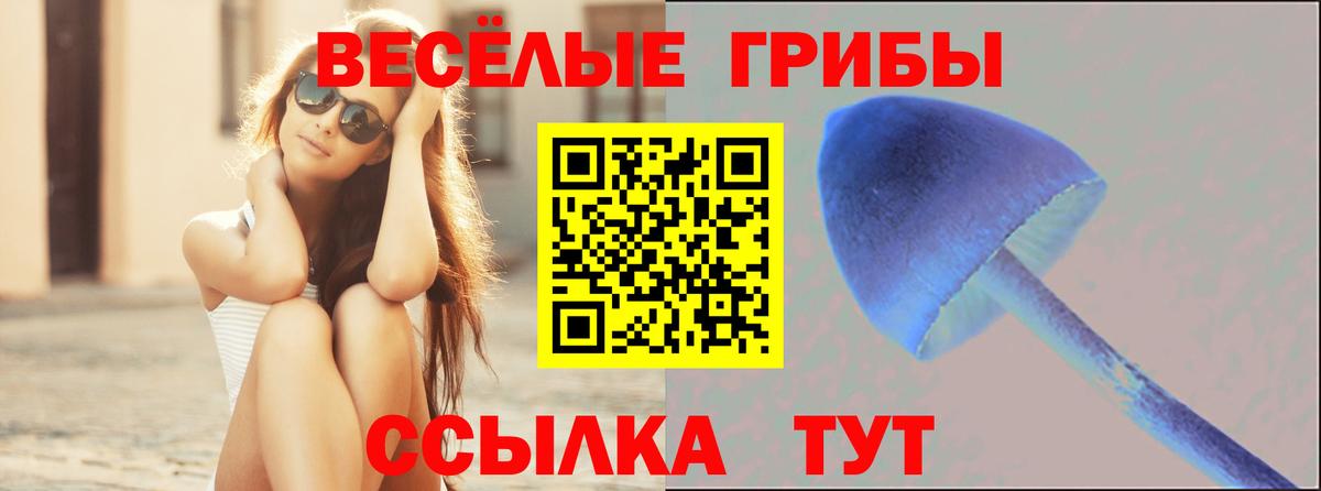 МАРИХУАНА Сланцы