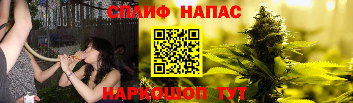 Бошки марихуана ГИДРОПОН Сланцы